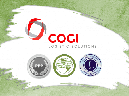 COGI LOGISTIC SOLUTIONS LLC