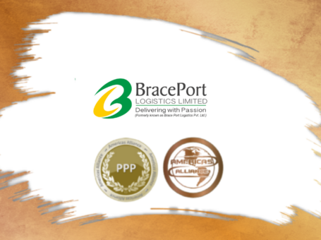 BRACE PORT LOGISTICS LIMITED