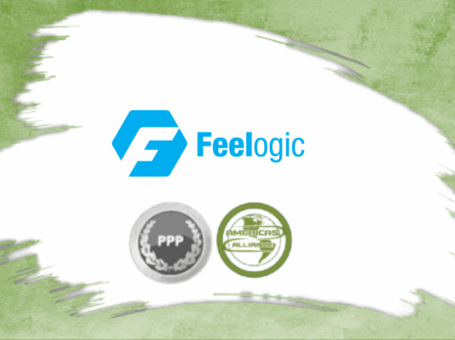 Feelogic BV